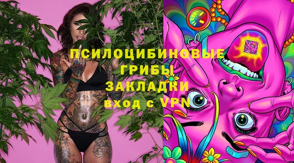 а пвп мука Богданович