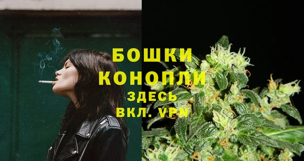 mix Богородицк