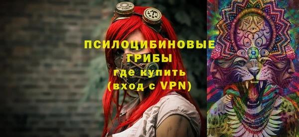 mix Богородицк