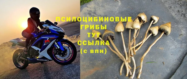 mix Богородицк