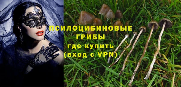 ECSTASY Ладушкин